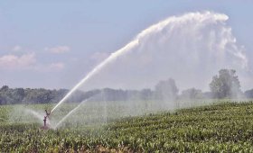 Important-points-in-corn-irrigation