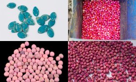 Different-methods-of-seed-disinfection