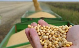 The-price-of-all-kinds-of-livestock-inputs-and-agricultural-products-on-Farvardin-25-1403