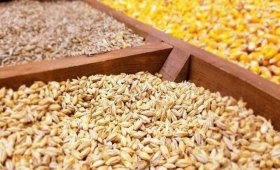 The-price-of-all-kinds-of-livestock-inputs-and-agricultural-products-on-Farvardin-30-1403