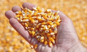 The-price-of-all-kinds-of-livestock-inputs-and-agricultural-products-on-Ordibehesht-20-1403