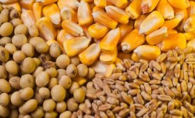 The-price-of-all-kinds-of-livestock-inputs-and-agricultural-products-on-Ordibehesht-23-1403