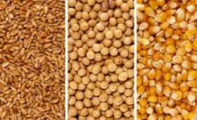 The-price-of-all-kinds-of-livestock-inputs-and-agricultural-products-on-KORDAD-20-1403