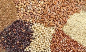 The-price-of-all-kinds-of-livestock-inputs-and-agricultural-products-on-TIR-04-1403
