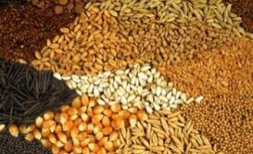 The-price-of-all-kinds-of-livestock-inputs-and-agricultural-products-on-TIR-12-1403
