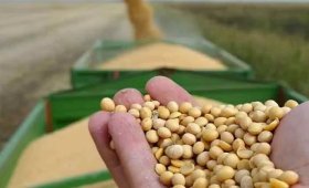 The-price-of-all-kinds-of-livestock-inputs-and-agricultural-products-on-MEHR-09-1403