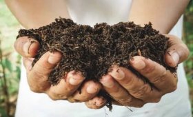 Nutritional-value-of-leaf-soil